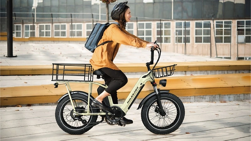 best electric cargo bikes 2025, electric cargo bike, cargo ebike, long range cargo ebike, family cargo bike, B2B cargo bike, heavy duty cargo ebike, POLEEJIEK cargo ebikes